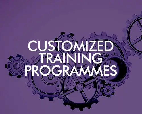 Customized Training Programmes